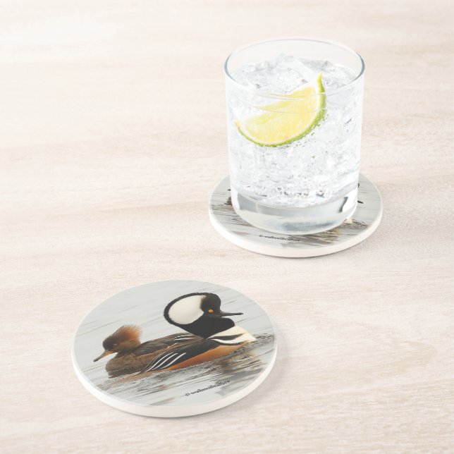 Ett möte mellan Hooded Merganser Anka vid dammen Underlägg (Sidan)