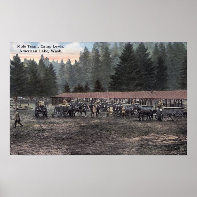 Ett mycket team på Camp Lewis Poster (Framsidan)