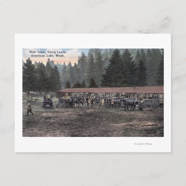 Ett mycket team på Camp Lewis Vykort (Framsida)