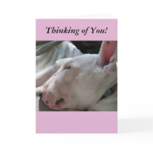 Ett Nap i Sol-tänkandet