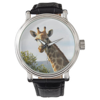 Ett nära foto av en man Giraffe på Safari Armbandsur