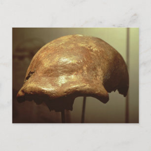 Ett neanderthal vykort