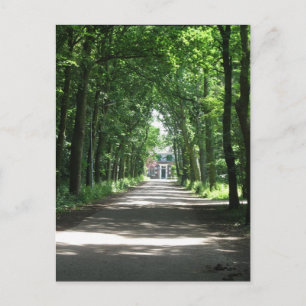 Ett nederländskt Lane i Skogen i Holland Fotovykor Vykort