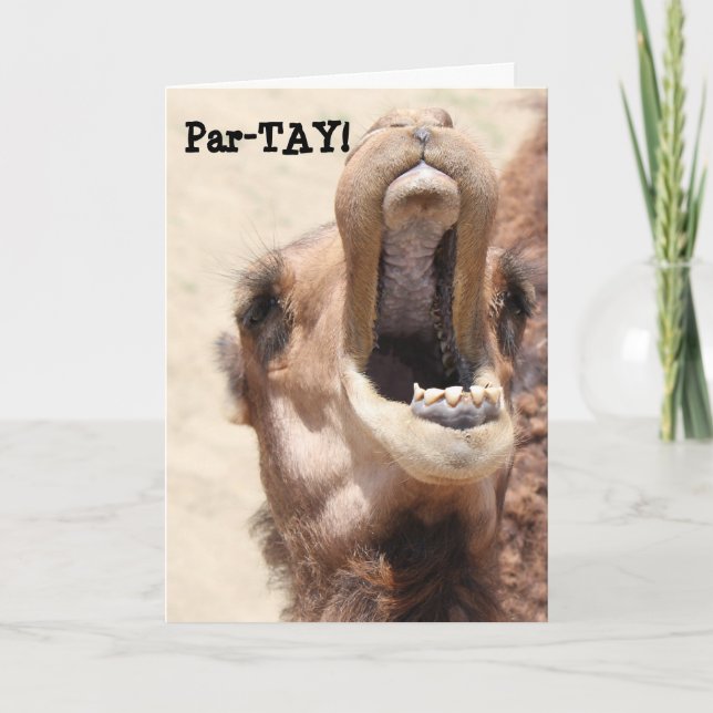 Ett nyårskort från kamel, PAR-TAY som 20xx Helgkort (Framsida)