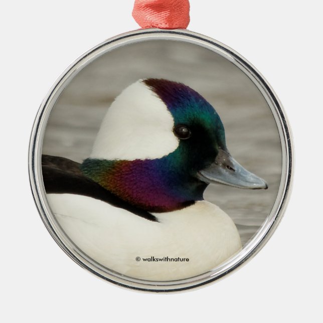 Ett Nyfiket Bufflehead Julgransprydnad Metall (Framsidan)