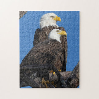 Ett nytt par i Nest-M15 & F23 Pussel