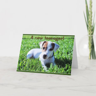 ETT NYTT TEENAGER-TURNS ***13** KORT