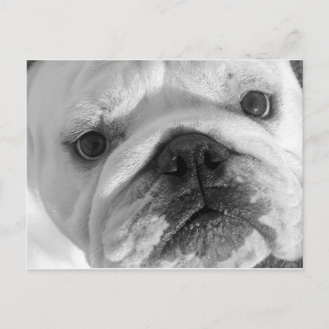 Ett nytt vänligt vykort (Framsida)