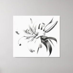 Ett ögonblick av Bloom Lily Pencil Sketch Charcol Canvastryck