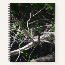 Ett ögonblick av lätt Spiral bärbar dator