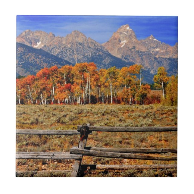 Ett ögonblick i Wyoming i höst Kakelplatta (Framsidan)