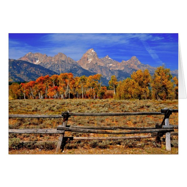 Ett ögonblick i Wyoming på hösten Hälsningskort (Framsidan Horizontal)