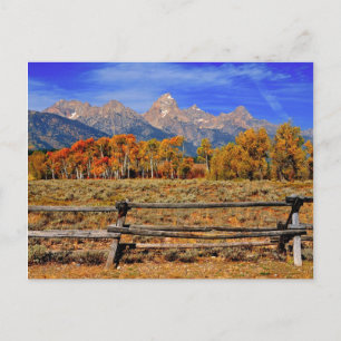 Ett ögonblick i Wyoming på hösten Vykort