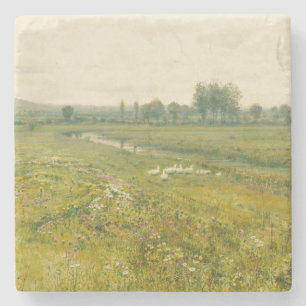 Ett omfattande ängsllandskap med gäss stenunderlägg