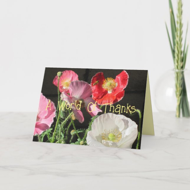 Ett Ord tack Kort (Framsida)