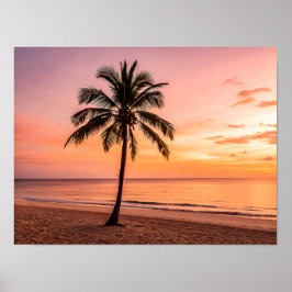 Ett palmeträd står ensamt på stranden vid solnedgå poster