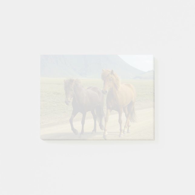 Ett par bruna isländska ponnyer post-it block (Framsida)