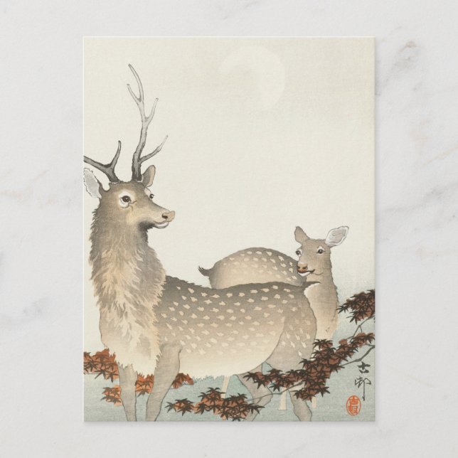 Ett par deers Painting av Ohara Koson Vykort (Framsida)