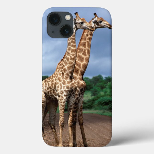Ett par giraffer på vägen, Kruger National (Baksida)