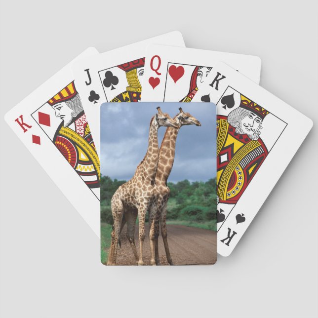 Ett par giraffer på vägen, Kruger National Kortlek (Baksidan)