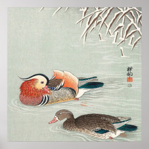 Ett par mandarin Anka Design Ideal Gift Poster