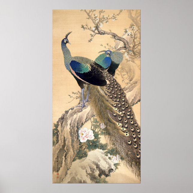 Ett par Peacocks i japansk konst Vår 1901 Poster (Framsidan)