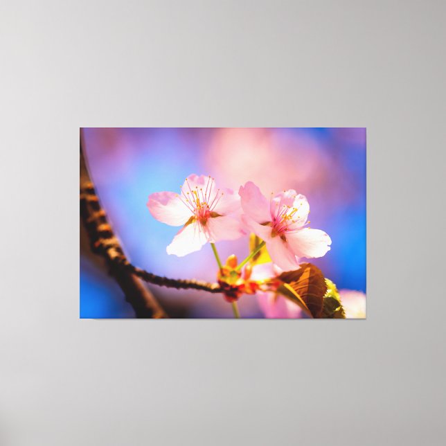 Ett par Sakura Flowers Canvastryck (Framsida)