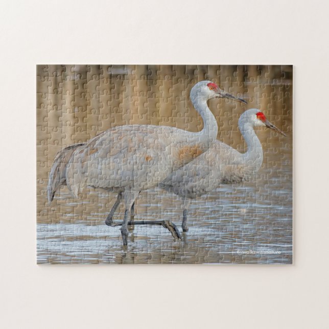 Ett par Wading Underbarare Sandhill Cranes Pussel (Horisontell)