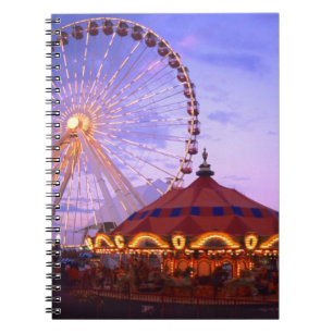 Ett pariserhjul och karusell vid Navy Pier i Anteckningsbok