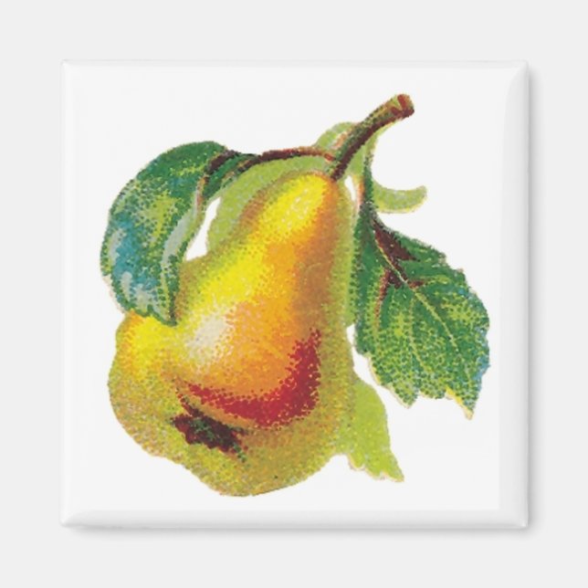 Ett Pear Magnet (Framsidan)