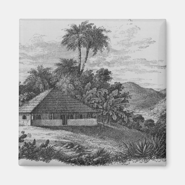 Ett planterhus i Brasilien Magnet (Framsidan)