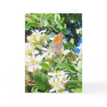 Ett riktigt Rainbow Butterfly-hälsningskort