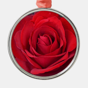 Ett röd ros i fullt-blomman julgransprydnad metall