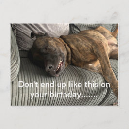 Ett roligt Bull Mastiff-kort Vykort