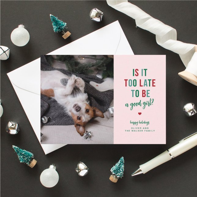 Ett roligt husdjur semesterkort med bra tjej julkort (dog owner Christmas cards with funny sayings)