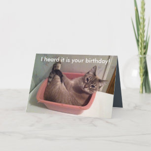 Ett roligt kattfödelsedagkort 5X7 Kort