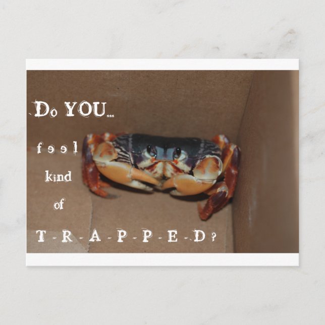 Ett roligt kort för att hedra en vän... (Framsida)