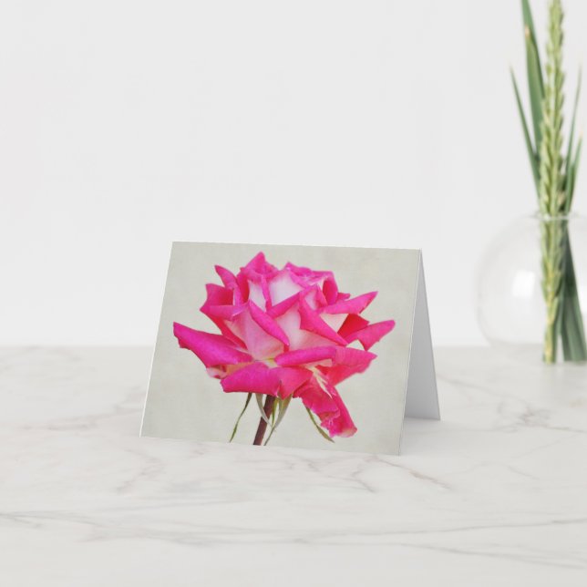 Ett Rosa ros från Gertie's Garden Note Card Kort (Framsida)