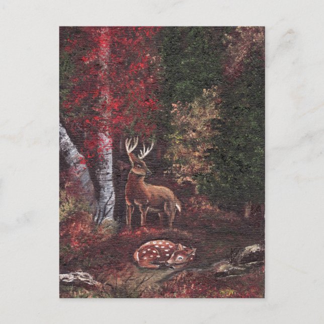 Ett särskilt postkort vykort (Framsida)