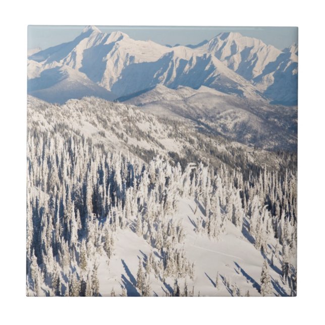 Ett sceniskt beskådar av snöig berg och Trees. Kakelplatta (Framsidan)