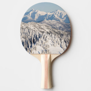 Ett sceniskt beskådar av snöig berg och Trees. Pingisracket