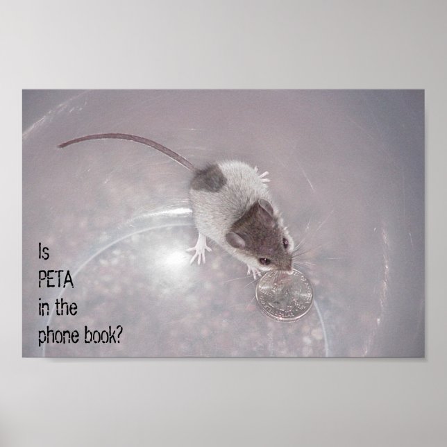 Ett sista samtal poster (Framsidan)