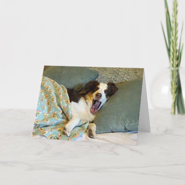 Ett sött kort, bra kort, hund foto tack kort (Framsida)