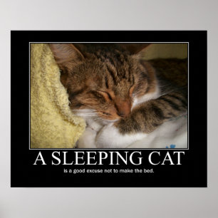 Ett sova kattkonstverk poster