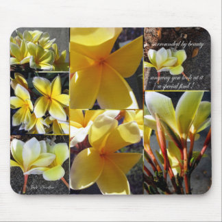 Ett speciellt fynd musmatta