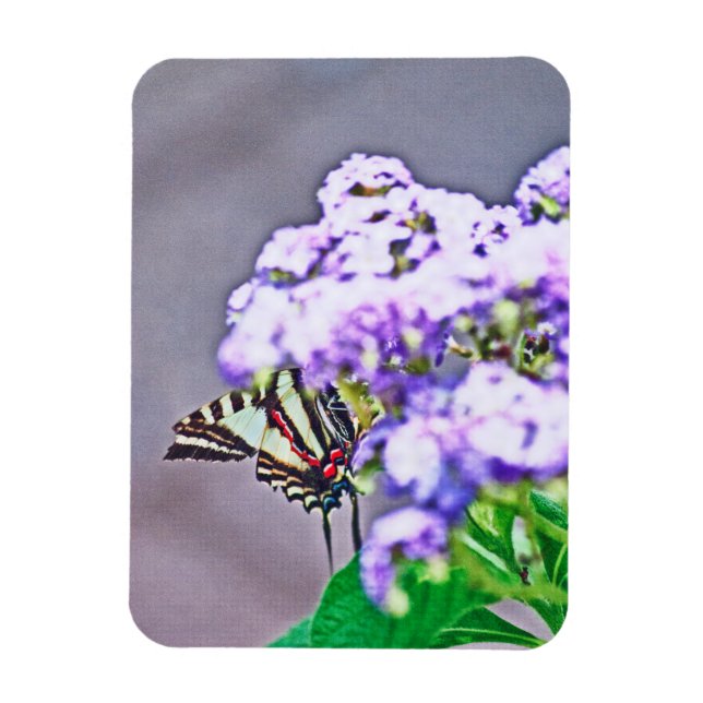 Ett spel med Göm och sökning Magnet (Vertikal)