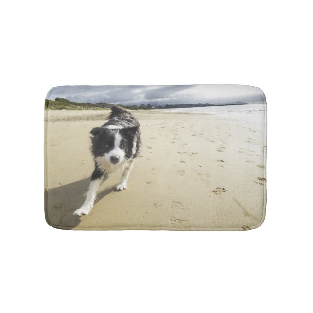 Ett spring för gränsColliehund på stranden Badrumsmatta (Framsidan)
