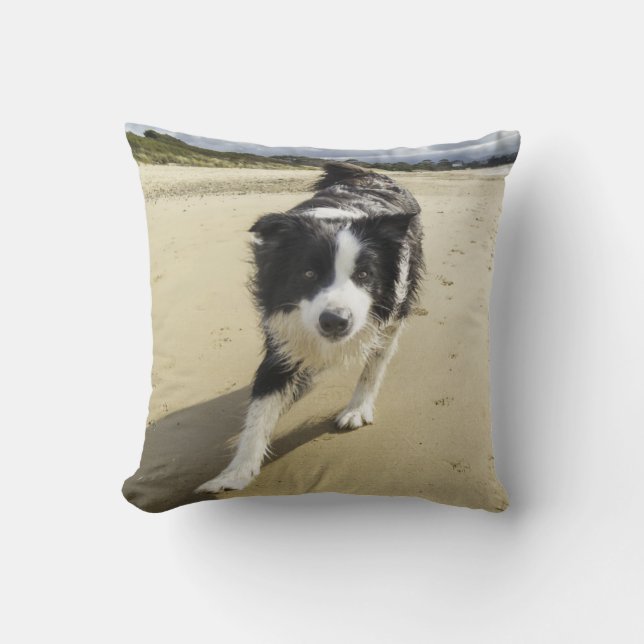 Ett spring för gränsColliehund på stranden Kudde (Framsida)