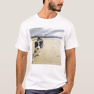 Ett spring för gränsColliehund på stranden T-shirt