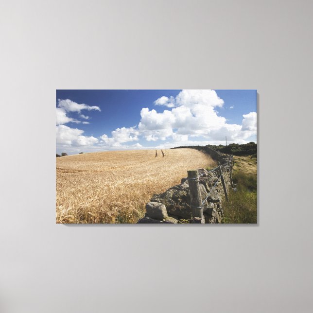 Ett stängslet av barbertråd Byggt vid ett stenstän Canvastryck (Framsida)